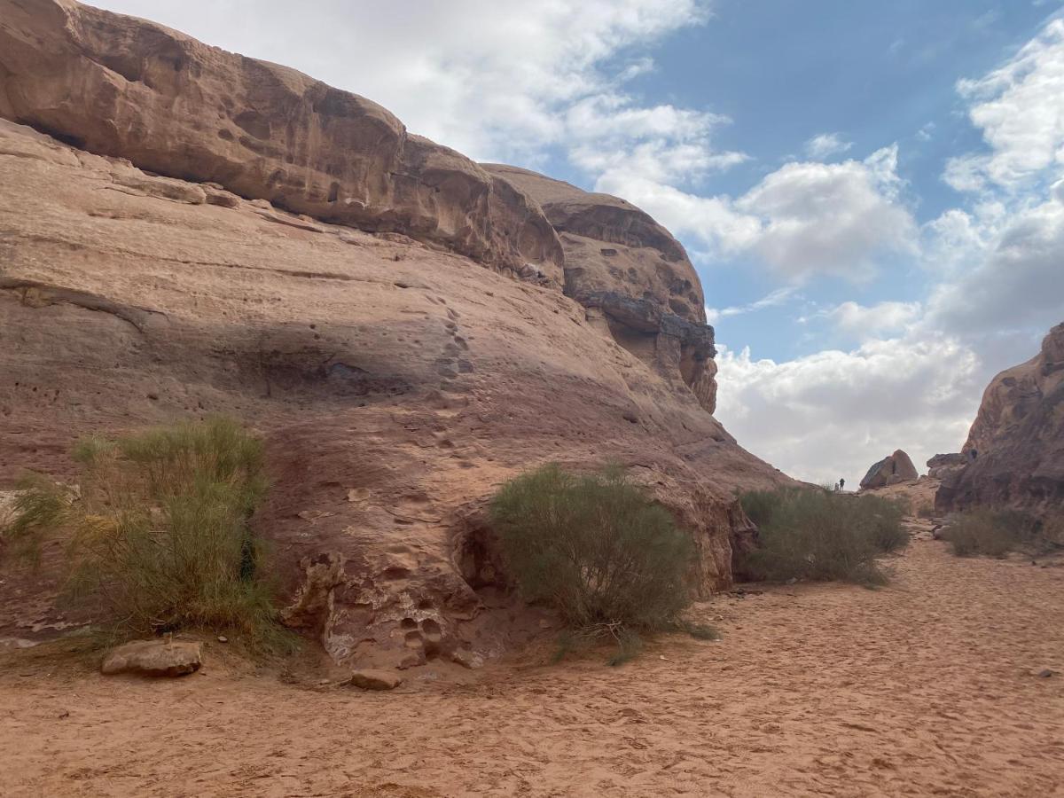 Rum Leader Luxury Camp Wadi Rum Exterior photo