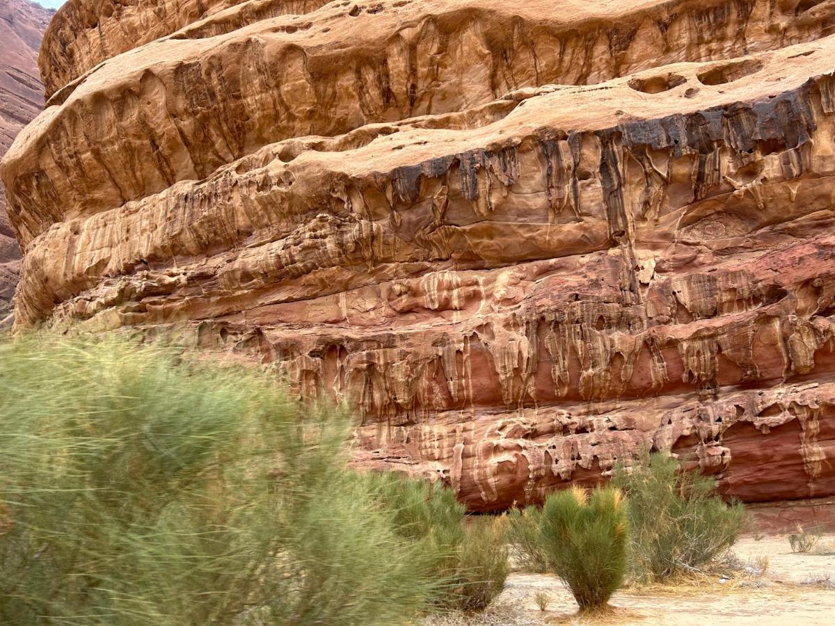 Rum Leader Luxury Camp Wadi Rum Exterior photo