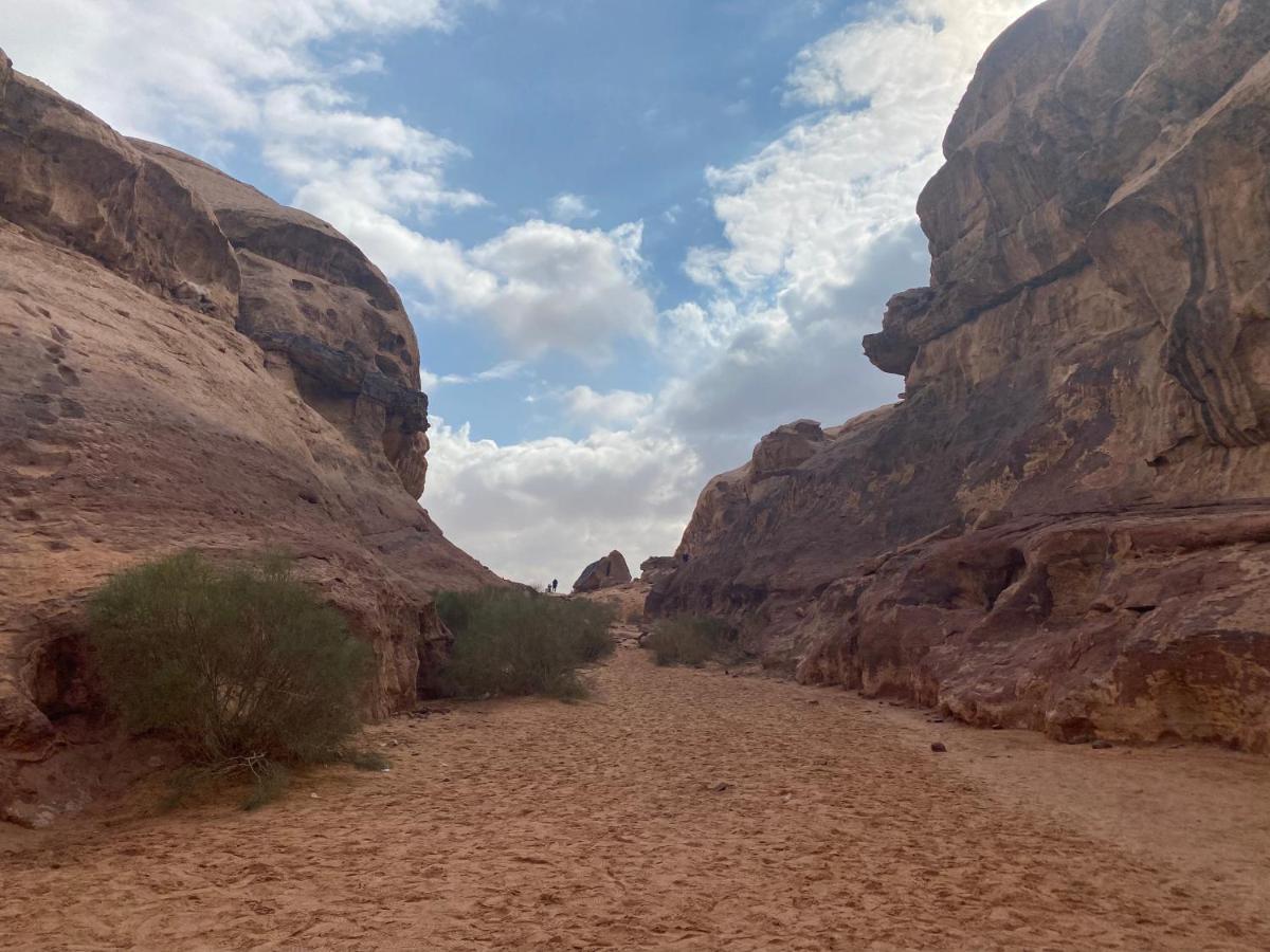 Rum Leader Luxury Camp Wadi Rum Exterior photo